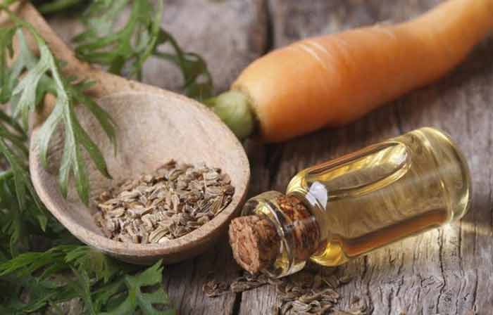 Carrot Seed Oil